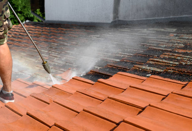 Best Sidewalk Pressure Washing  in Hockinson, WA
